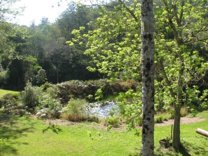 4/315 Boggy Creek Road, Bellingen NSW 2454