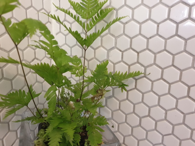 28/53 Balaclava Road, St Kilda East VIC 3183