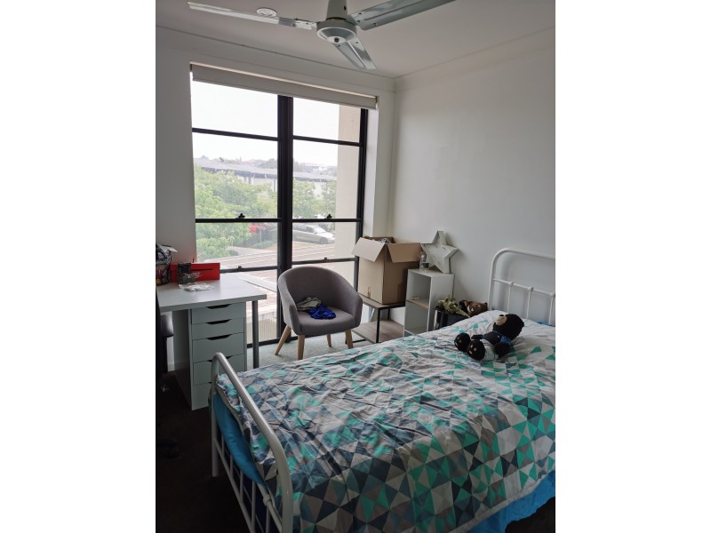 158 North Hill Drive, Robina QLD 4226