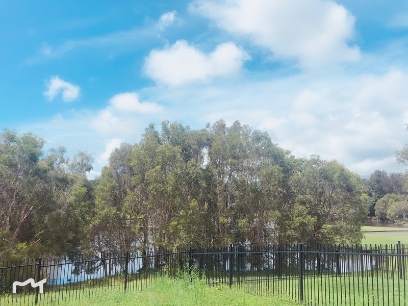 158 North Hill Drive, Robina QLD 4226