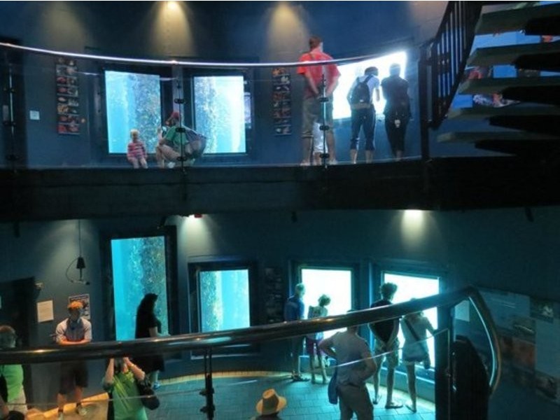 33 Kalgaritch Avenue, West Busselton WA 6280