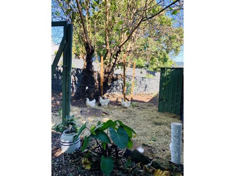 7 Cadboll St, Lismore NSW 2480