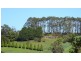 5 Linden Heights, Don TAS 7310