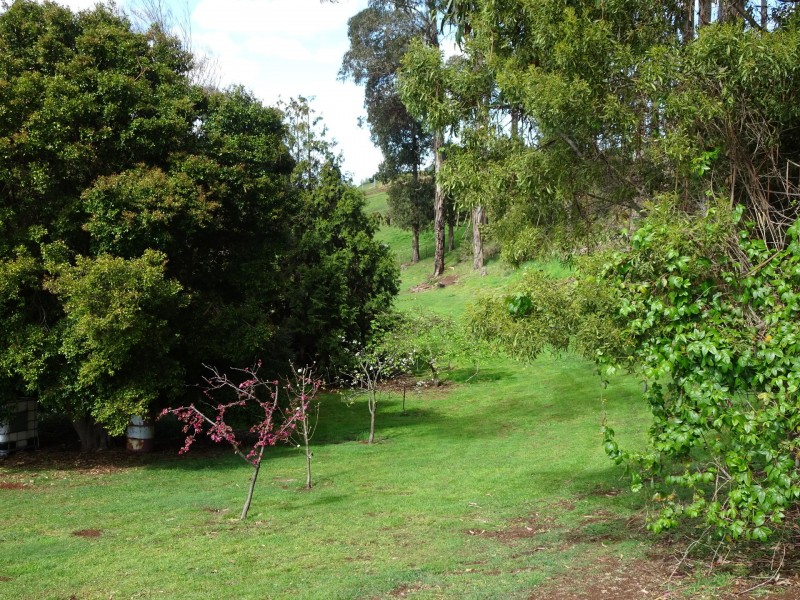 5 Linden Heights, Don TAS 7310