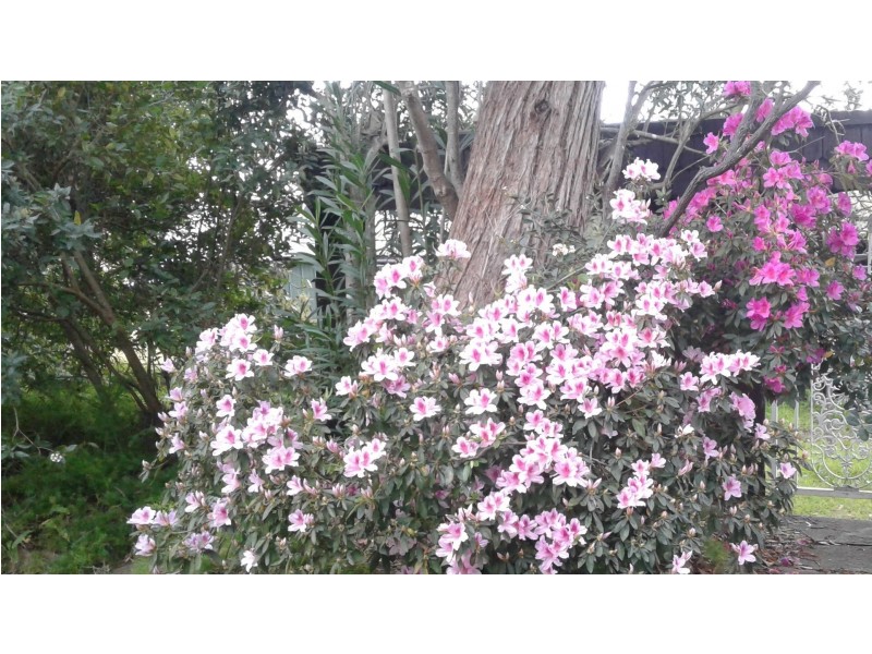 Wangi Wangi NSW 2267