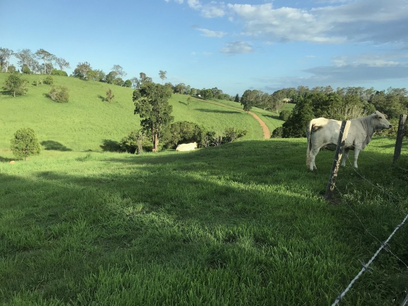 121 Hood Road, Veteran QLD 4570