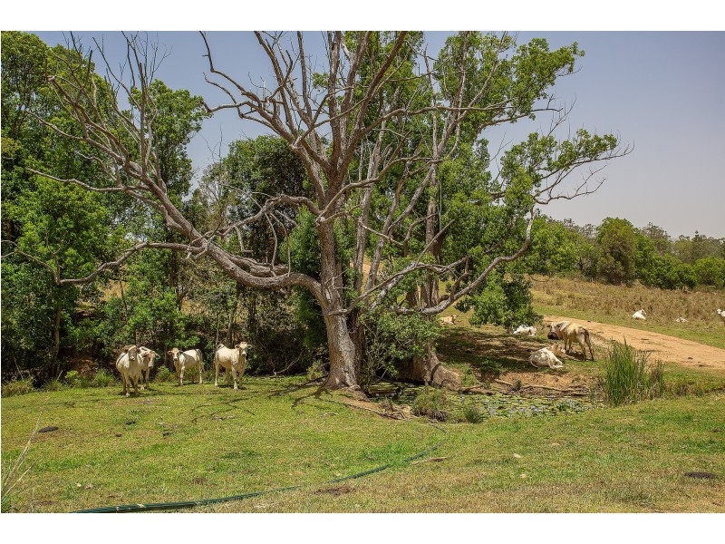 121 Hood Road, Veteran QLD 4570