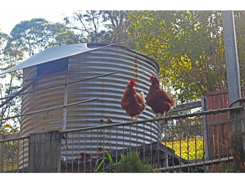 136 Araluen Road, Tallebudgera Valley QLD 4228