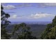 Tamborine Mountain QLD 4272