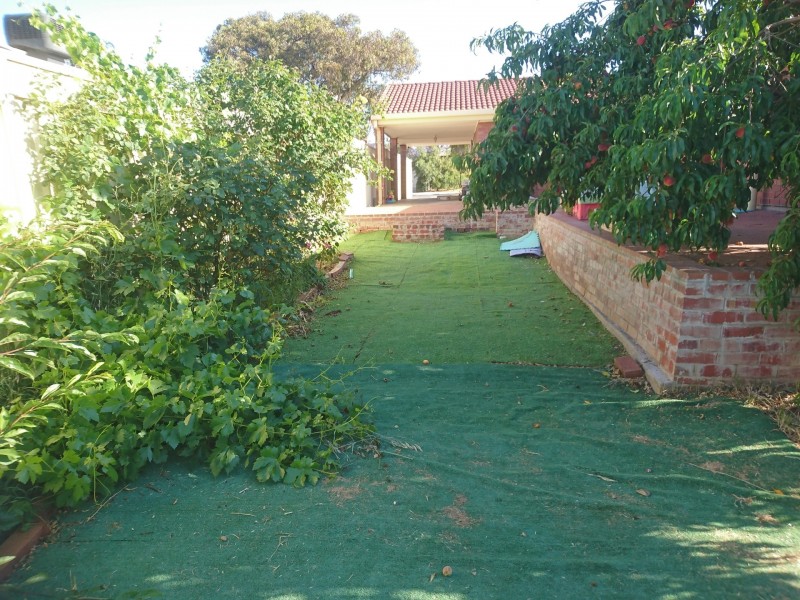 13 Ralph Street, Sturt SA 5047