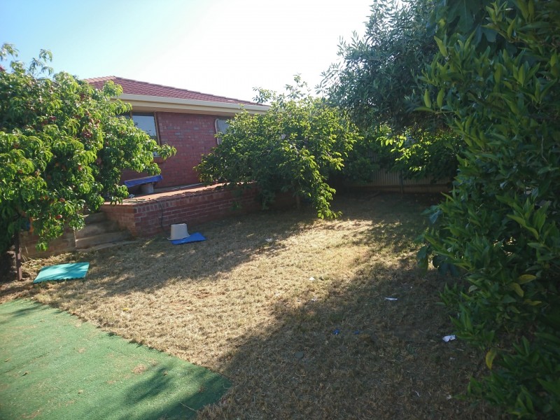 13 Ralph Street, Sturt SA 5047