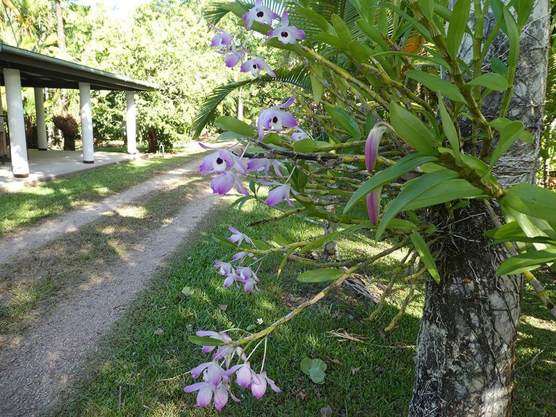 662 El Arish Mission Beach Road, Mission Beach QLD 4852