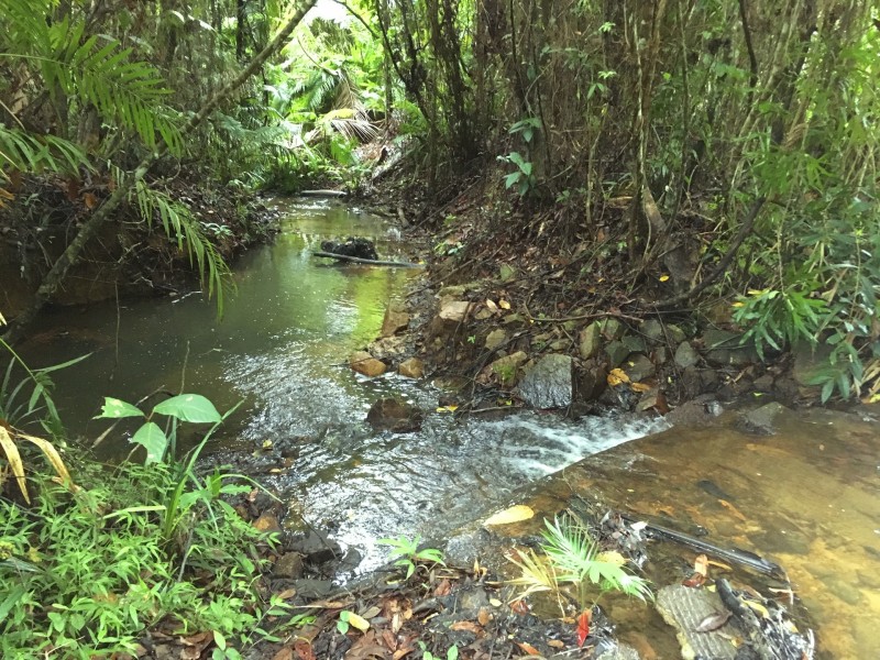 662 El Arish Mission Beach Road, Mission Beach QLD 4852