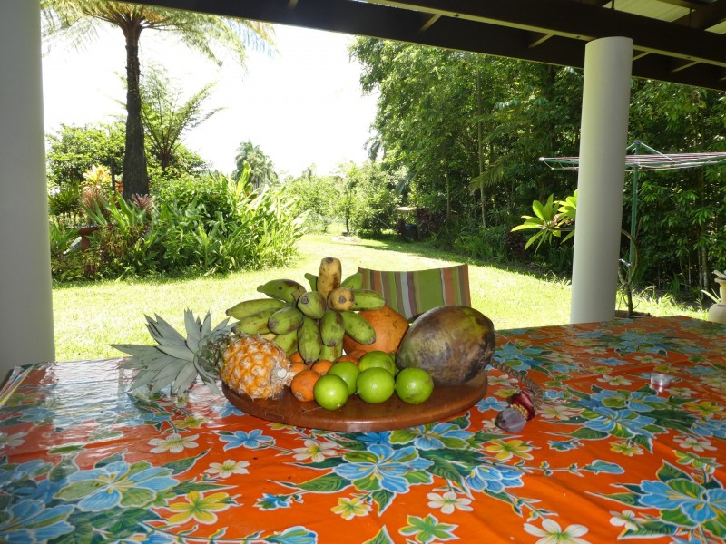 662 El Arish Mission Beach Road, Mission Beach QLD 4852