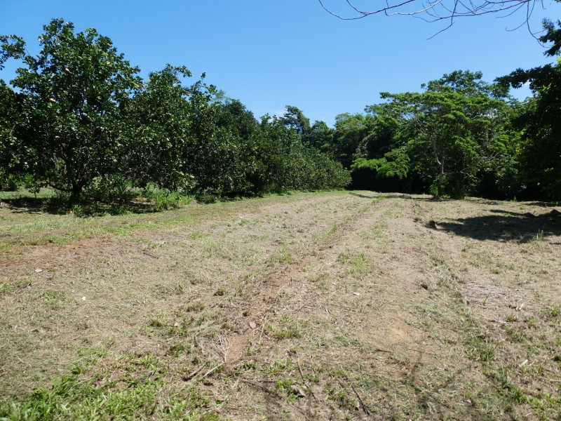 662 El Arish Mission Beach Road, Mission Beach QLD 4852