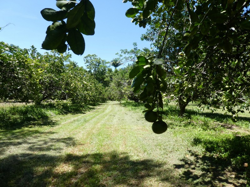 662 El Arish Mission Beach Road, Mission Beach QLD 4852