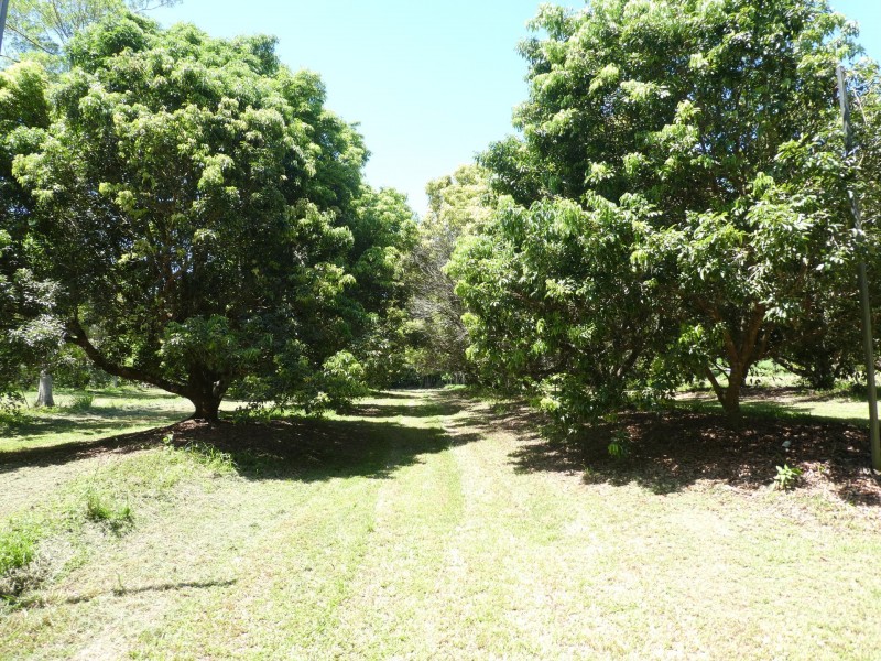 662 El Arish Mission Beach Road, Mission Beach QLD 4852