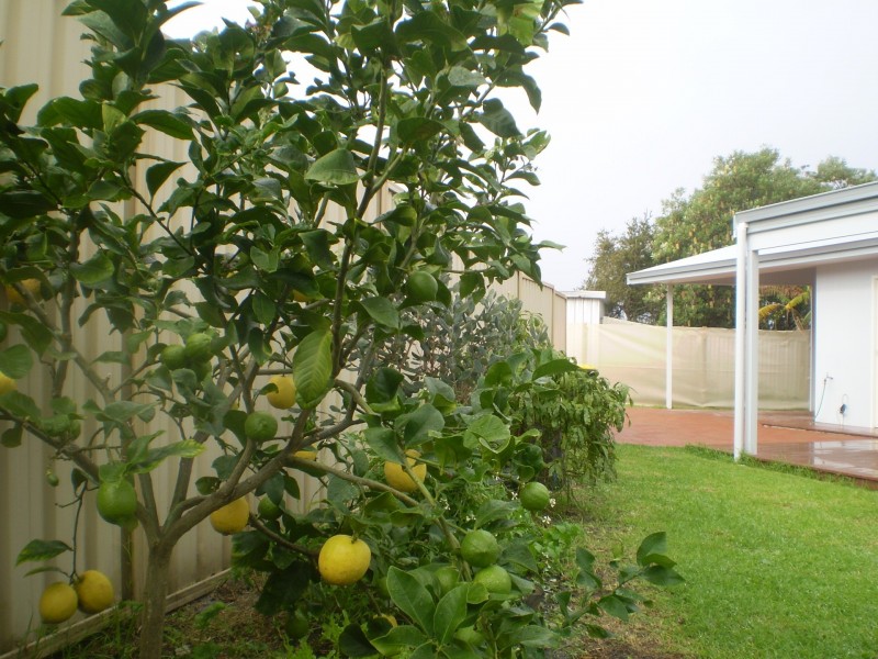 6333/38a Buckley St, Denmark WA 6333