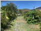 637 Montgomerie Street, Lakes Creek QLD 4701