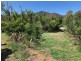 637 Montgomerie Street, Lakes Creek QLD 4701