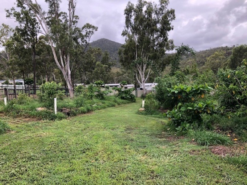 637 Montgomerie Street, Lakes Creek QLD 4701