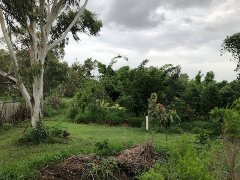 637 Montgomerie Street, Lakes Creek QLD 4701