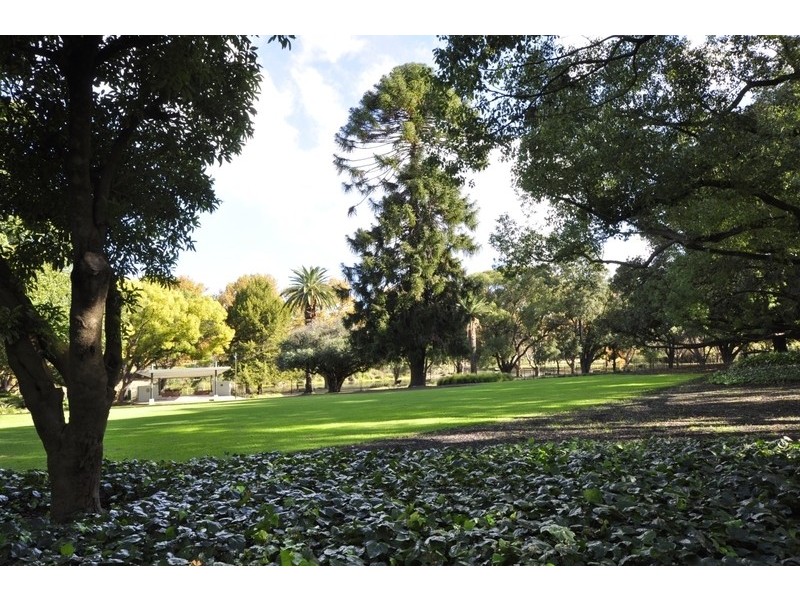 21/7 Vincent St, Mount Lawley WA 6050