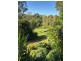 24 Cardell Place, Pullenvale QLD 4069