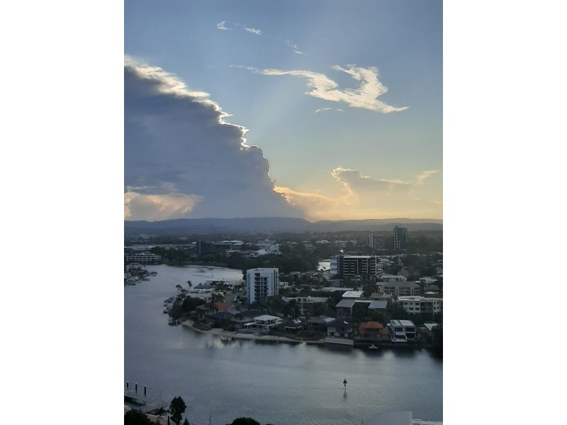 1175/23 Ferny Avenue, Surfers Paradise QLD 4217