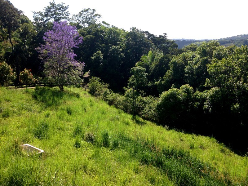 35 Cougal Road, Carool NSW 2486