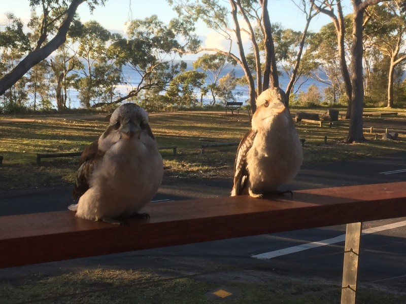 41 Marine Parade, Callala Bay NSW 2540