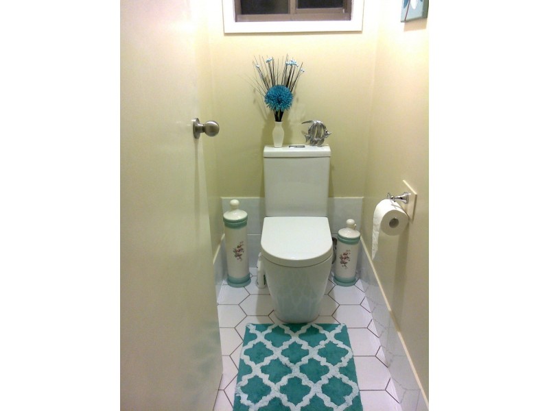 12 Sapium Street, Kingston QLD 4114