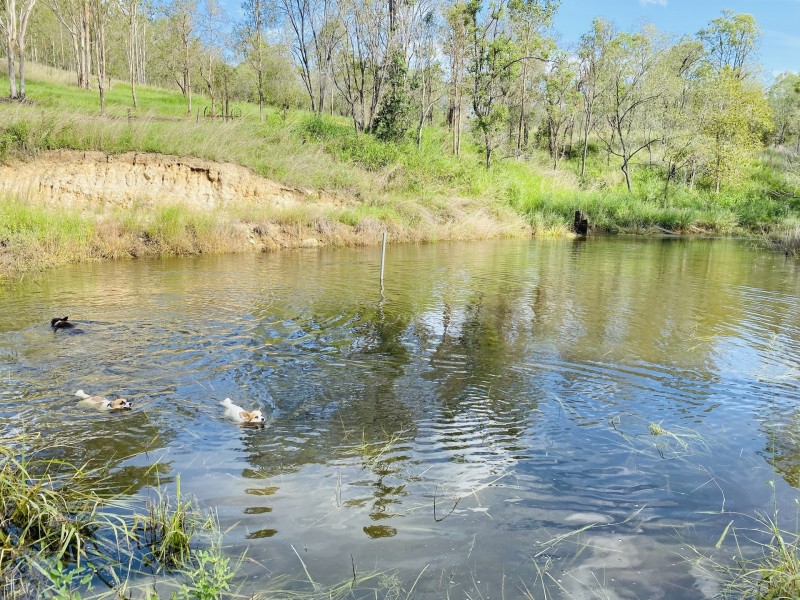 9 Rickards Road, Kolonga QLD 4671