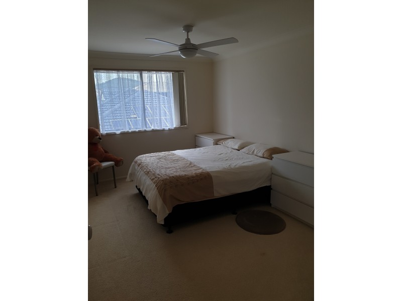 49 Brittany Drive, Oxenford QLD 4210