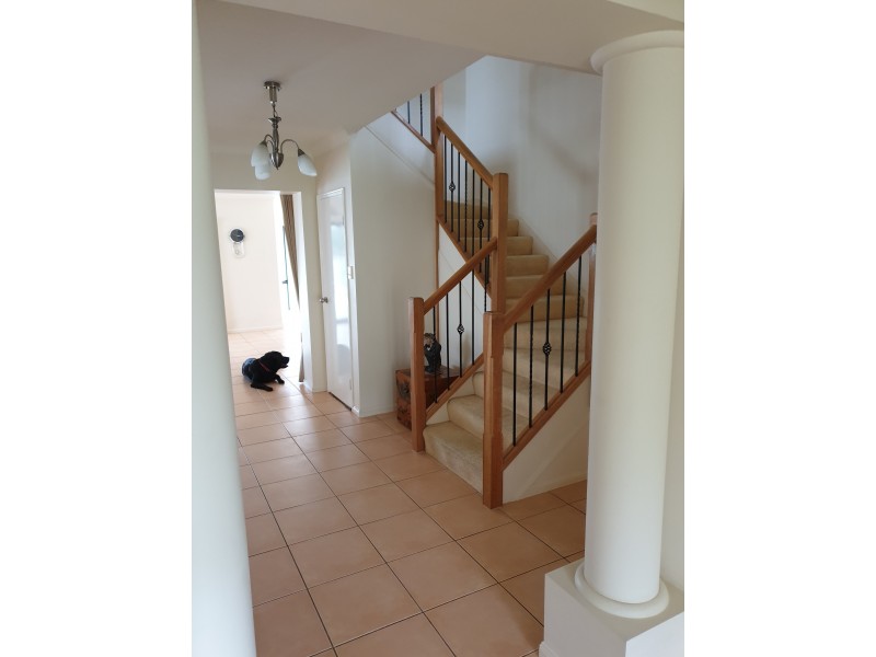 49 Brittany Drive, Oxenford QLD 4210