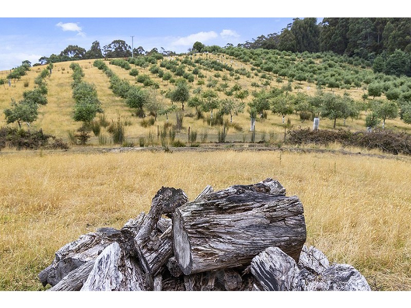 120 Mcphersons Road, Adventure Bay TAS 7150