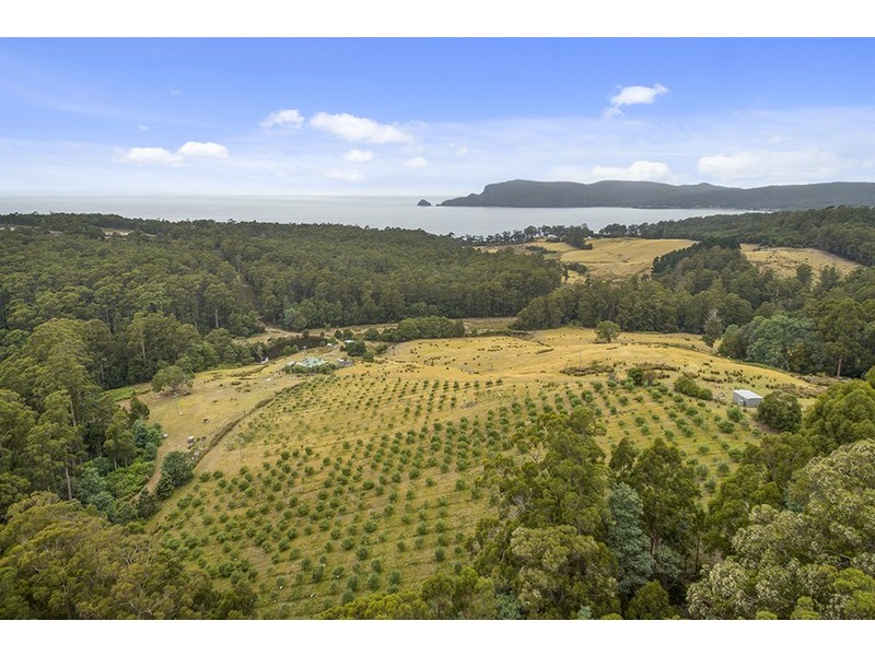 120 Mcphersons Road, Adventure Bay TAS 7150
