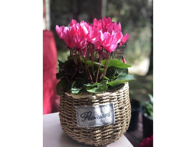 5 Lakeview Court, Glen Waverley VIC 3150