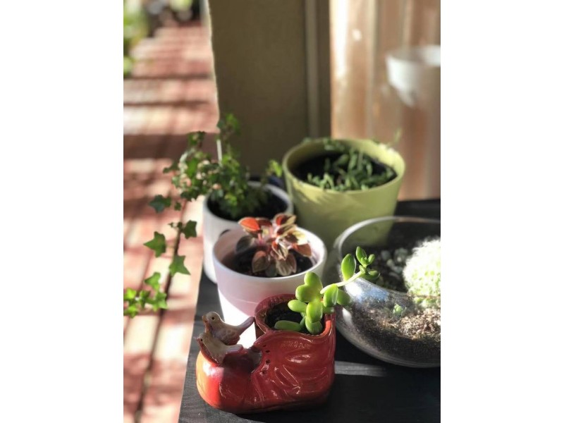 5 Lakeview Court, Glen Waverley VIC 3150