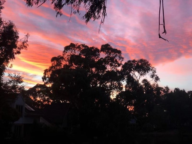 5 Lakeview Court, Glen Waverley VIC 3150