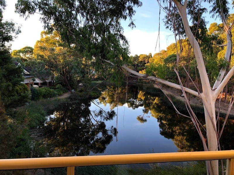 5 Lakeview Court, Glen Waverley VIC 3150