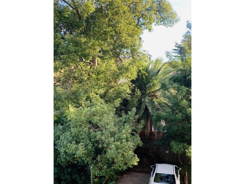 9/88 Bent Street, Neutral Bay NSW 2089