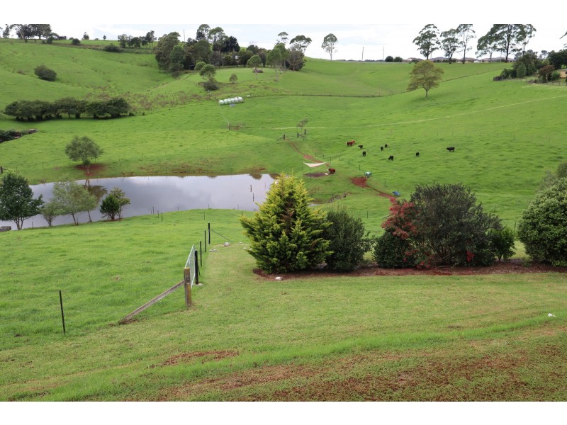 24 Kurrajong Street, Dorrigo NSW 2453