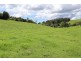 24 Kurrajong Street, Dorrigo NSW 2453