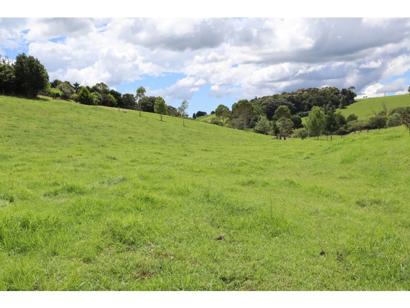 24 Kurrajong Street, Dorrigo NSW 2453