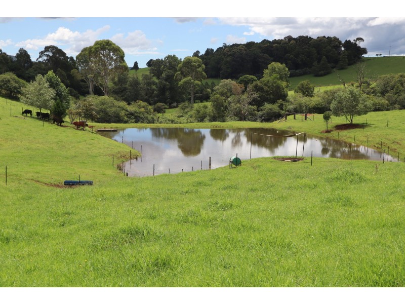 24 Kurrajong Street, Dorrigo NSW 2453