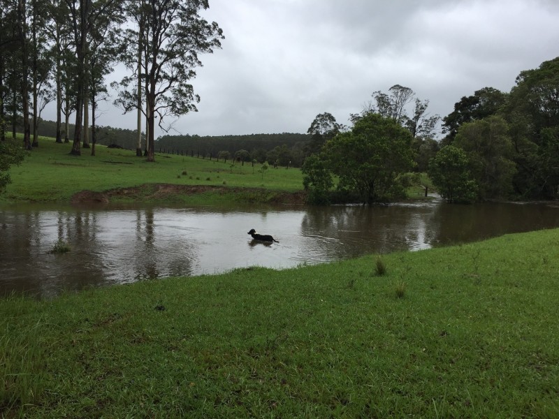 Eungai Creek NSW 2441