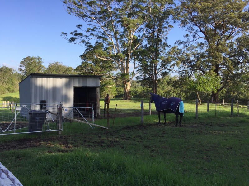 Eungai Creek NSW 2441