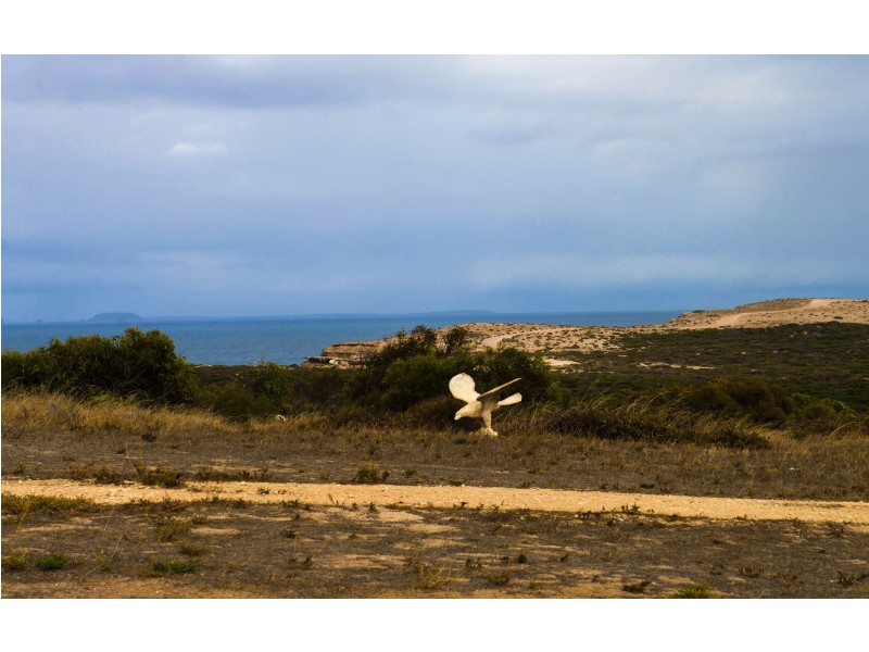 25 Spindrift Road, Elliston SA 5670