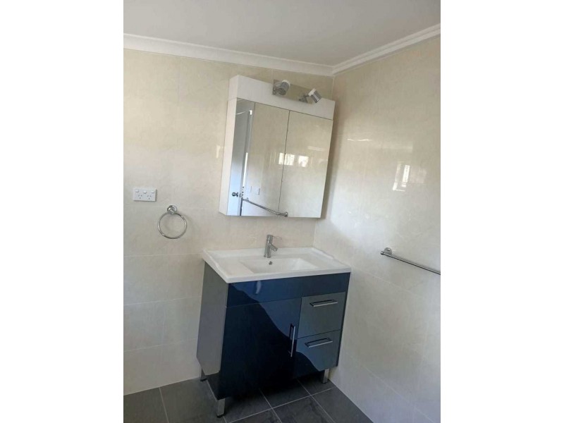 84 BALLANDELLA RD, Toongabbie NSW 2146